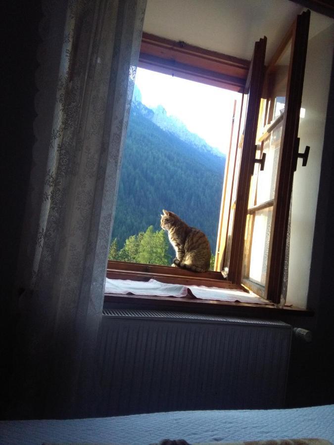 Achillea Bed & Breakfast Vigo di Fassa Exteriör bild